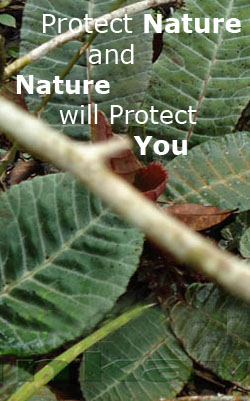 protect nature logo-1-www.srilankaview.com
