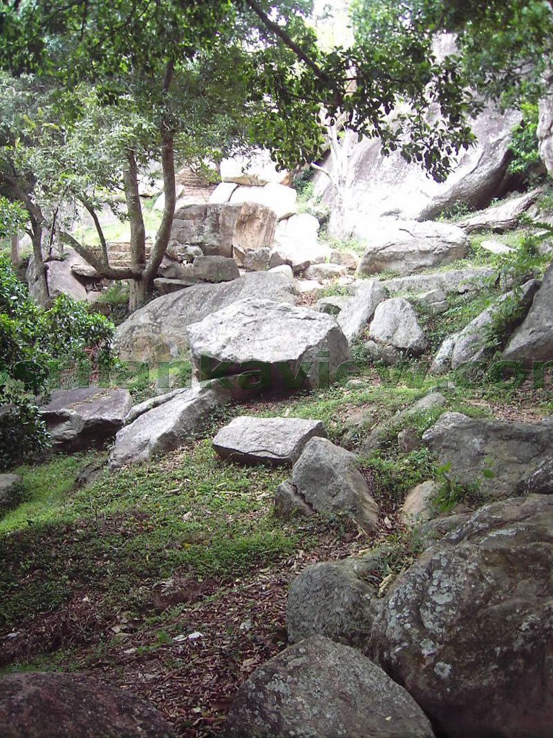 The surrounding near the path to the caves.